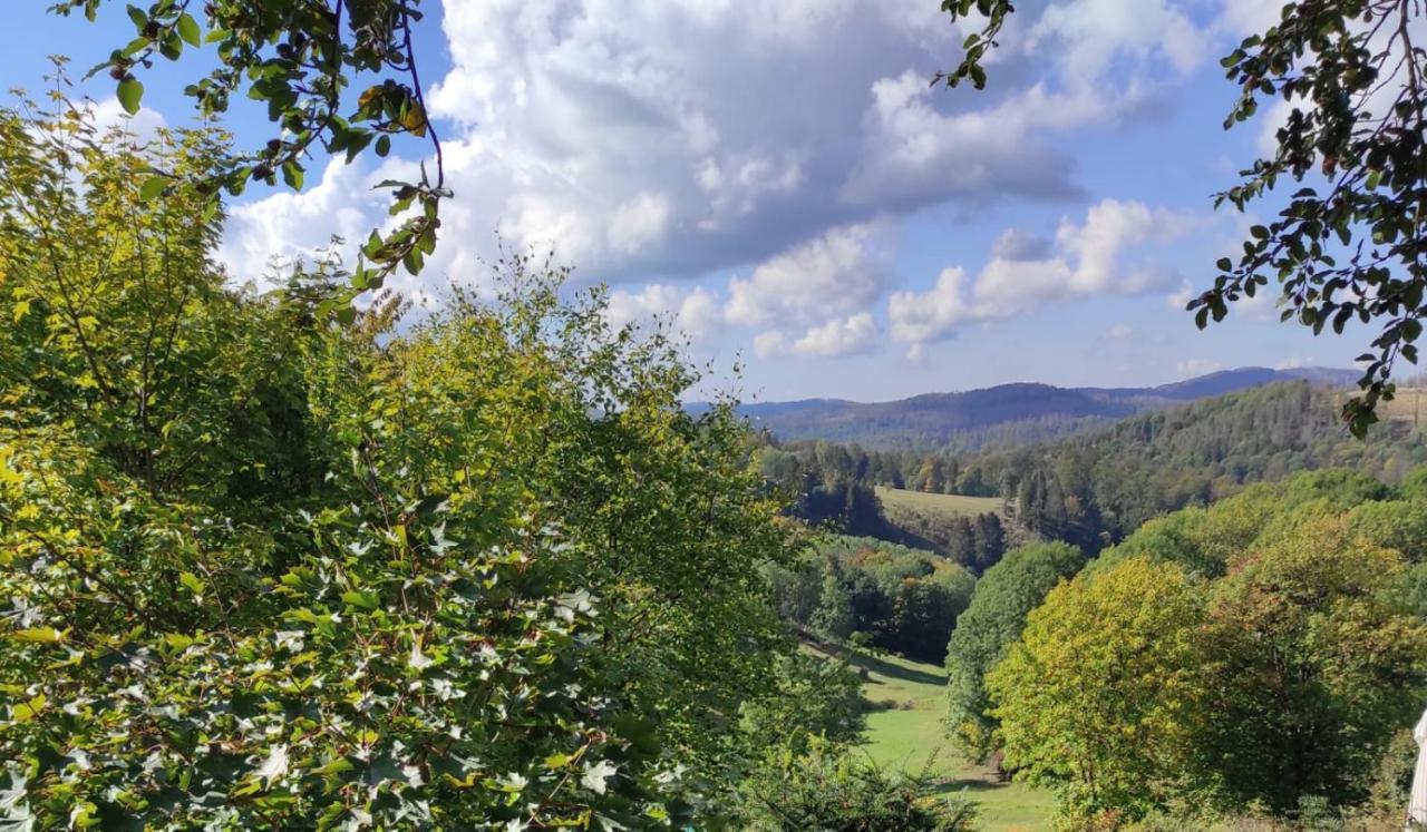 Fewo Harzer Weitblick, Hunde Willkommen, W-Lan, 2X Smart Tv, Dtv 4 Sterne, 4 Pfoten Braunlage Εξωτερικό φωτογραφία