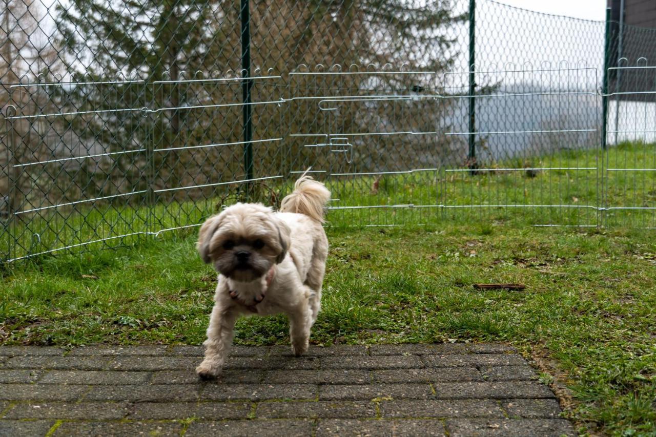 Fewo Harzer Weitblick, Hunde Willkommen, W-Lan, 2X Smart Tv, Dtv 4 Sterne, 4 Pfoten Braunlage Εξωτερικό φωτογραφία