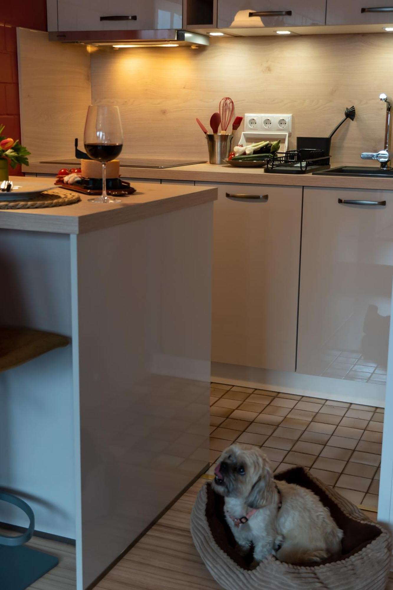 Fewo Harzer Weitblick, Hunde Willkommen, W-Lan, 2X Smart Tv, Dtv 4 Sterne, 4 Pfoten Braunlage Εξωτερικό φωτογραφία