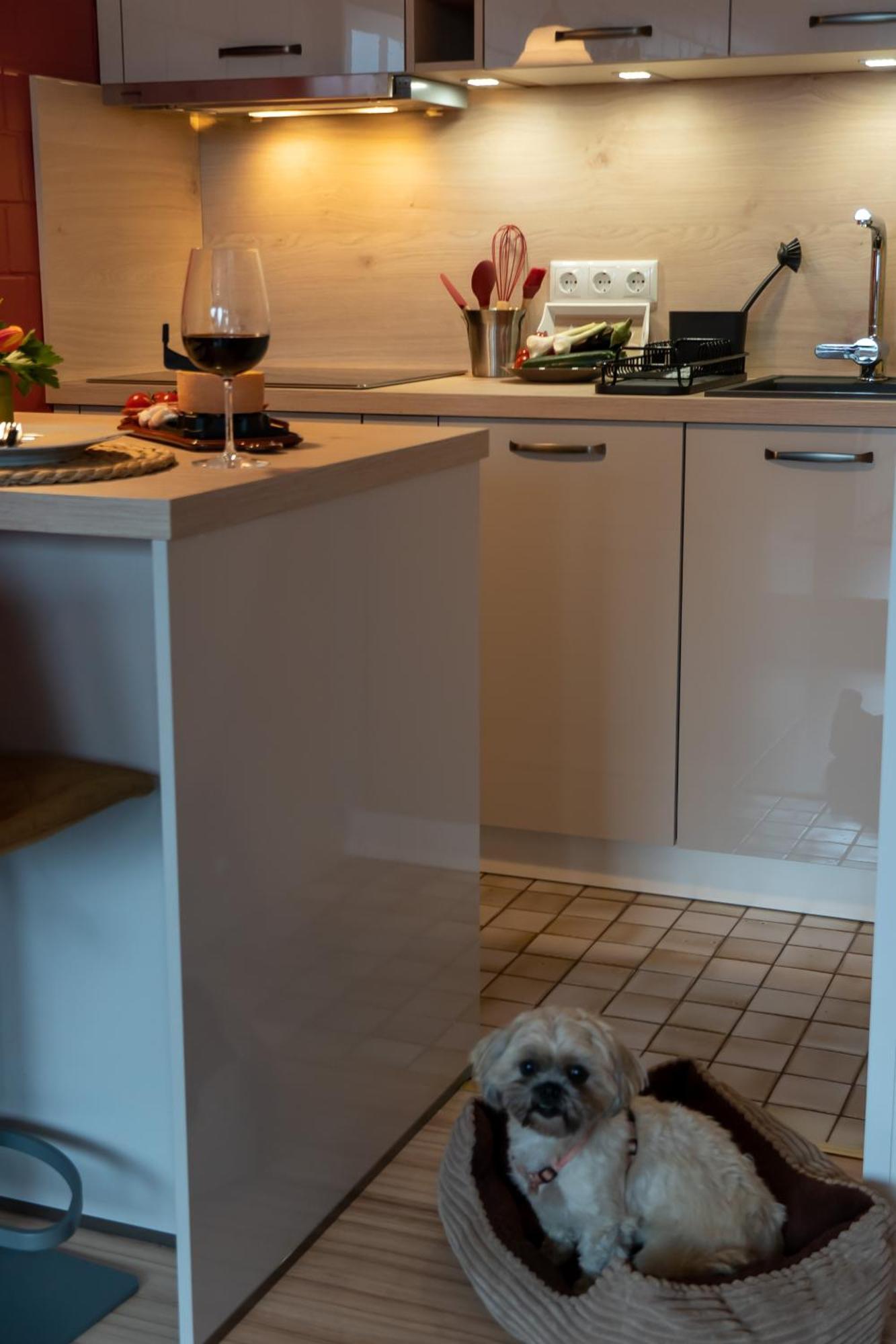 Fewo Harzer Weitblick, Hunde Willkommen, W-Lan, 2X Smart Tv, Dtv 4 Sterne, 4 Pfoten Braunlage Εξωτερικό φωτογραφία